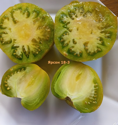 Томат Ярсон 18-3, Jarson 18/3