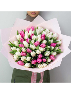 61 белый и розовый тюльпан