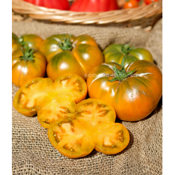 Томат Dwarf Uluru Ochre (Гном Улуру Охра), 10 шт