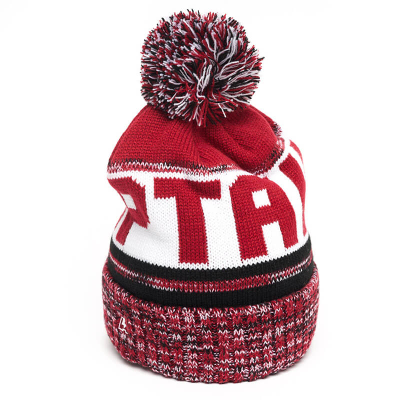 Шапка ФК СПАРТАК красная 00147