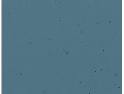 50202 Concrete Sphera Energetic коллекция яркого гомогенного линолеума Forbo купить с доставкой