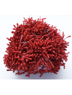 Тычинки Сахарные около 140 нитей , цвет кирпичный