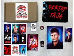 Бокс Сектор Газа, Юрий Хой №19