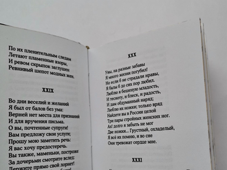 Пушкин  «Евгений Онегин» составной кожаный переплет