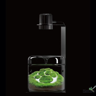 Лампа Biolark TF-03 для чаши Лудзи MY-120/120H и Пузырь.