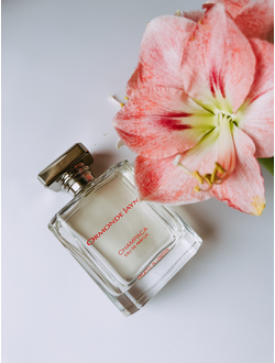 Ormonde Jayne Champaca