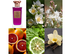 Aurora Scents Amora Senora VIII