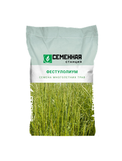 Семена фацелии, 10кг