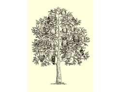 D0439 Совиное дерево