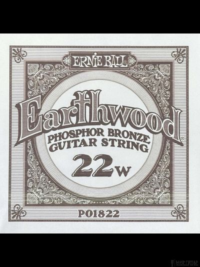 Ernie Ball 1822