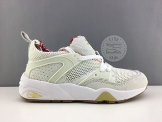 Puma Trinomic Белые (36-40) Арт. 228M-A