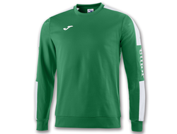 Кофта детская Joma Champion IV 100801.452