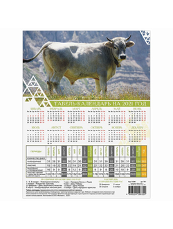 Календарь-табель 2021 год с рабочими и выходными днями, А4 (195х225 мм), "Символ года БЕЛЫЙ БЫК", ТК-1