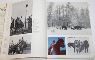 Коннозаводство и конный спорт. М.: Колос. 1972г.