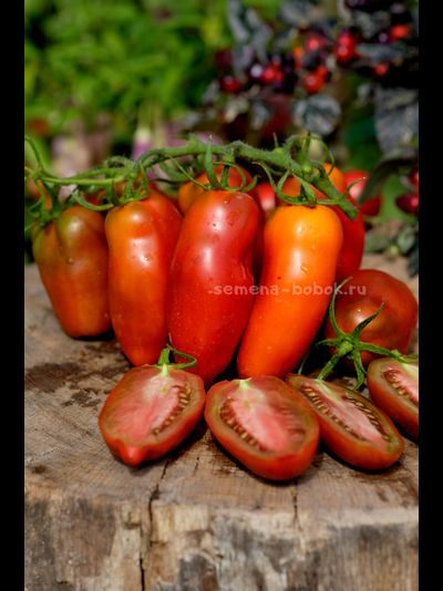 Томат Черный перец (Black Pepper), 10 шт