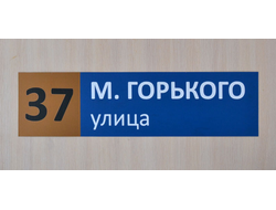 Табличка с названием улицы и номером дома прямоугольная четырехцветная 600х 160 мм