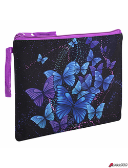 Папка для тетрадей BRAUBERG А5, 1 отделение, полиэстер, на молнии, с ручкой, «Fly Aways». 271499