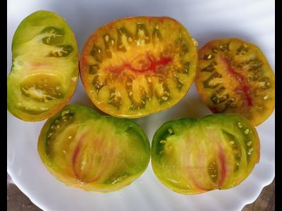 Томат Мятные полосы (Dwarf Peppermint Stripes)