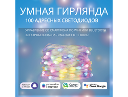 Умная адресная Wi-Fi гирлянда ROXIMO SFCL01-L