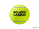 Теннисные мячи Wilson Roland Garros Clay Court x3