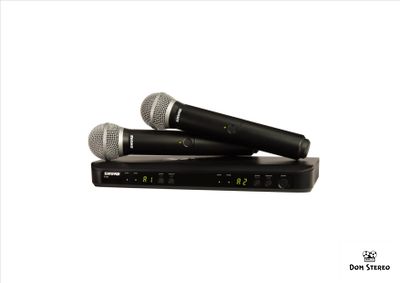 фото SHURE BLX288E/PG58