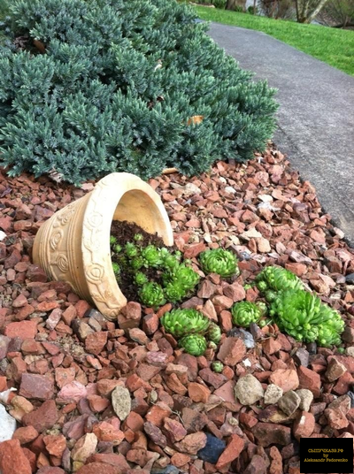 яшма пейзажная щебень