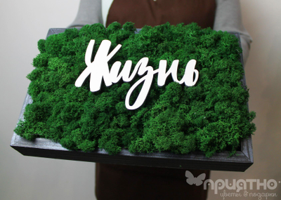 ЖИВАЯ ЭКО-КАРТИНА 1054