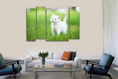 Модульная картина "Летний котенок"