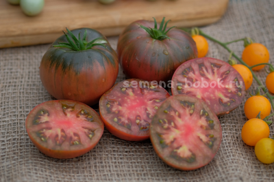 Томат Dwarf Pierce’s Pride (Гном Гордость Пирса), 10 шт