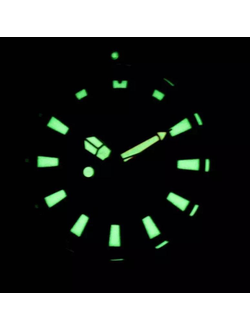 Наручные часы Citizen JP2000-67L