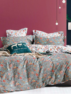 Постельное белье CRISTELLE AMANTE комплект сатин евро 200x220x1 230x250x1 50x70x2 70x70x2 AM04-103