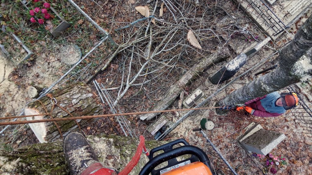 Удаление дерева на кладбище