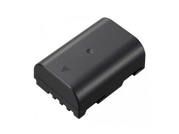 Аккумулятор Panasonic DMW-BLF19E