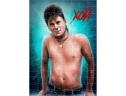 Пазлы Сектор Газа, Юрий Хой