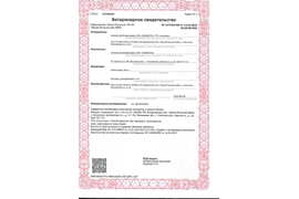 Ветеринарное свидетельство от 13.02.19
