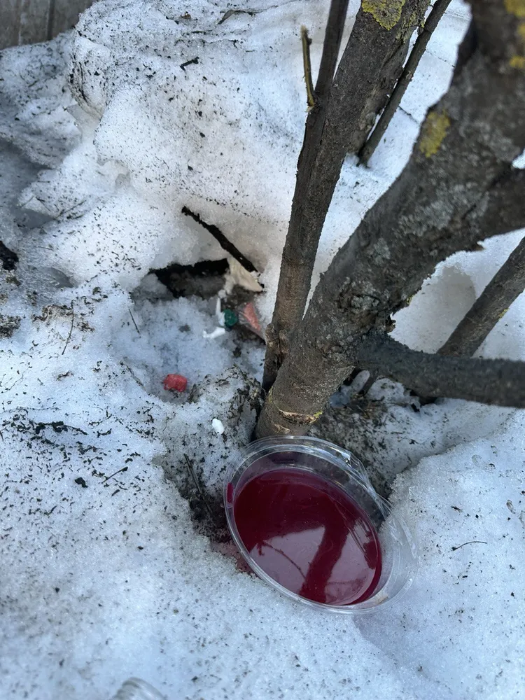 Плановая дератизация торгового центра
