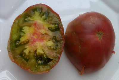 Томат Бунте Пфлауме (Красочная слива, Bunte Pflaume)