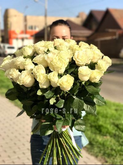 Букет "Нежные чувства" из 49 голландских роз