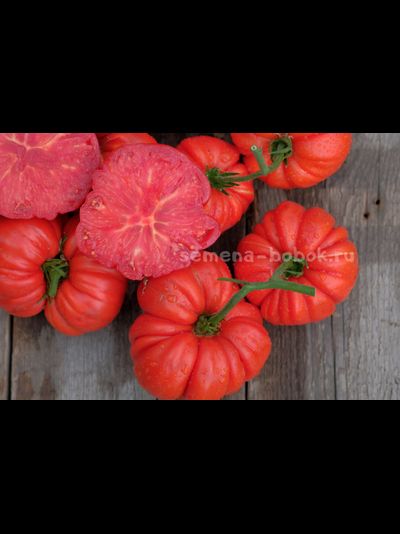 Томат Riccio Di Parma (Кудрявый из Пармы), 10 шт