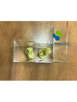 Оргстекло прозрачное Угол 15 х 15 х 10 мм толщина 3 мм