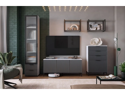 Композиция Гостиной ЗЕФИР Белое дерево/Серый