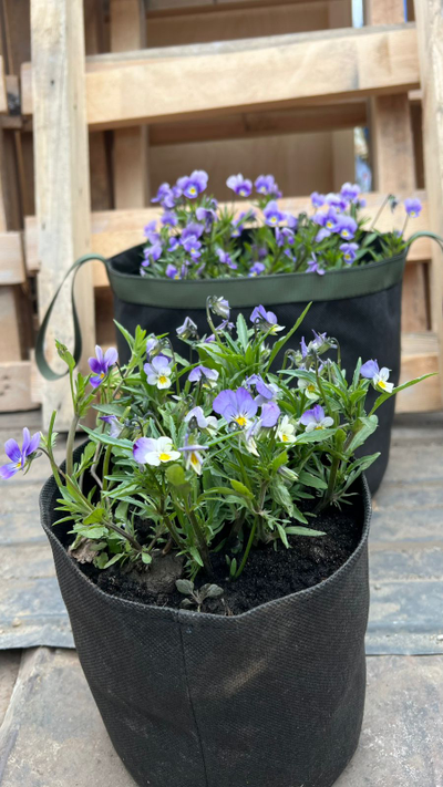 Кашпо 15 литров с ручками