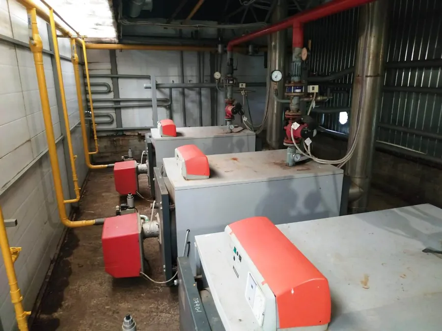 Теплицы Ленинградская область Волосовский район