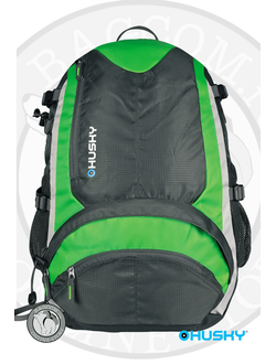 Купить универсальный рюкзак Husky Stingy