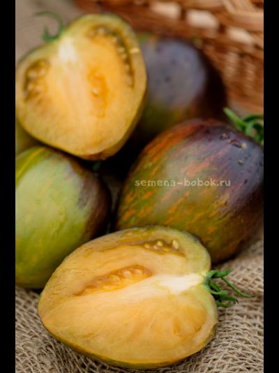 Томат Охровая Вуаль