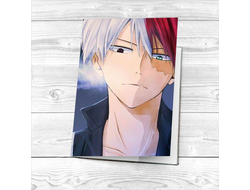 Обложка Моя геройская академия на паспорт №21