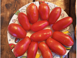 Томат Пальчики Мальвины