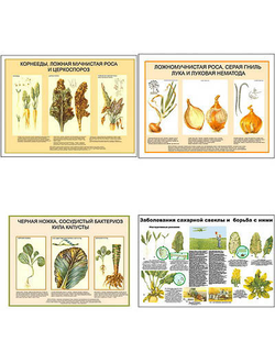 Плакаты ПРОФТЕХ "Вредит., болезни овощ. и бахчевых культ., меры борьбы с ними" (6 пл, винил, 70х100)