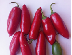 Перец острый Jalapeno Craig's Grande