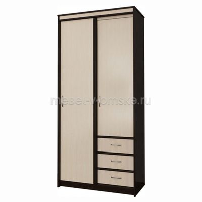 Шкаф-купе Карина 1,0